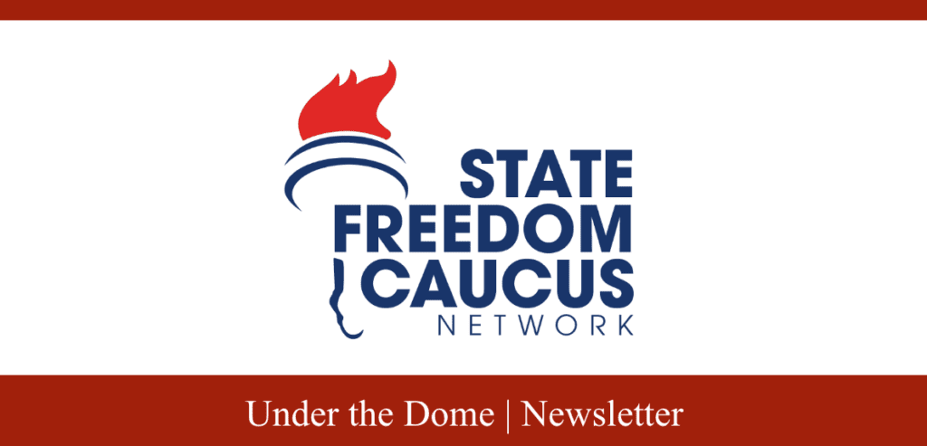 Under The Dome Newsletter